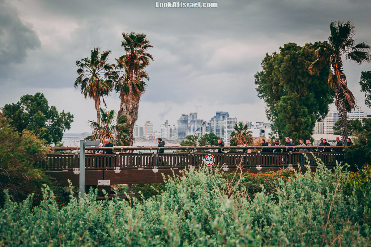 Главная тайна моста желаний в Яффо