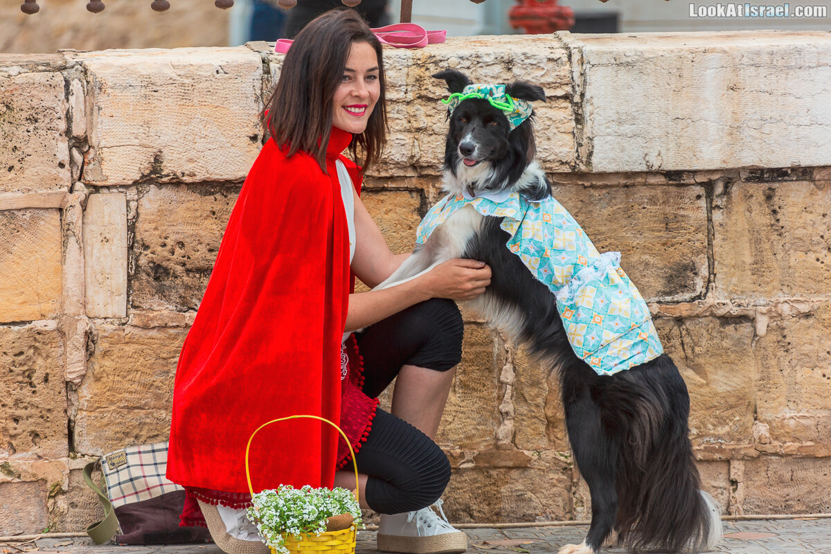 Праздник Пурим для собак...? хммм... Почему бы и нет?