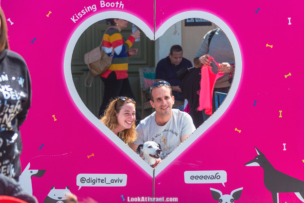 Костюмированный Пурим для собак, Тель-Авив | Dog's Purim in Tel-Aviv | אירוע פורים בתחנה- שישי כלבבי | LookAtIsrael.com - Фото путешествия по Израилю