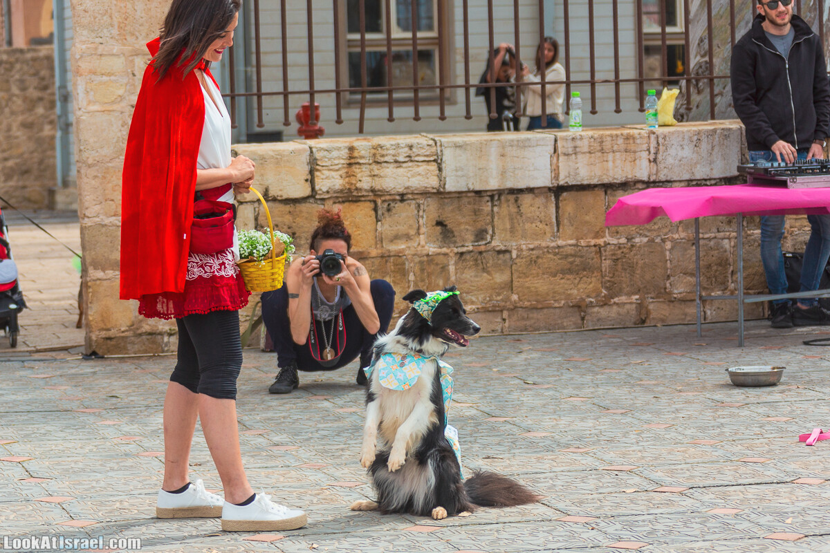 Костюмированный Пурим для собак, Тель-Авив | Dog's Purim in Tel-Aviv | אירוע פורים בתחנה- שישי כלבבי | LookAtIsrael.com - Фото путешествия по Израилю