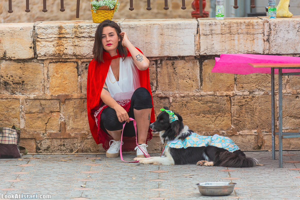 Костюмированный Пурим для собак, Тель-Авив | Dog's Purim in Tel-Aviv | אירוע פורים בתחנה- שישי כלבבי | LookAtIsrael.com - Фото путешествия по Израилю