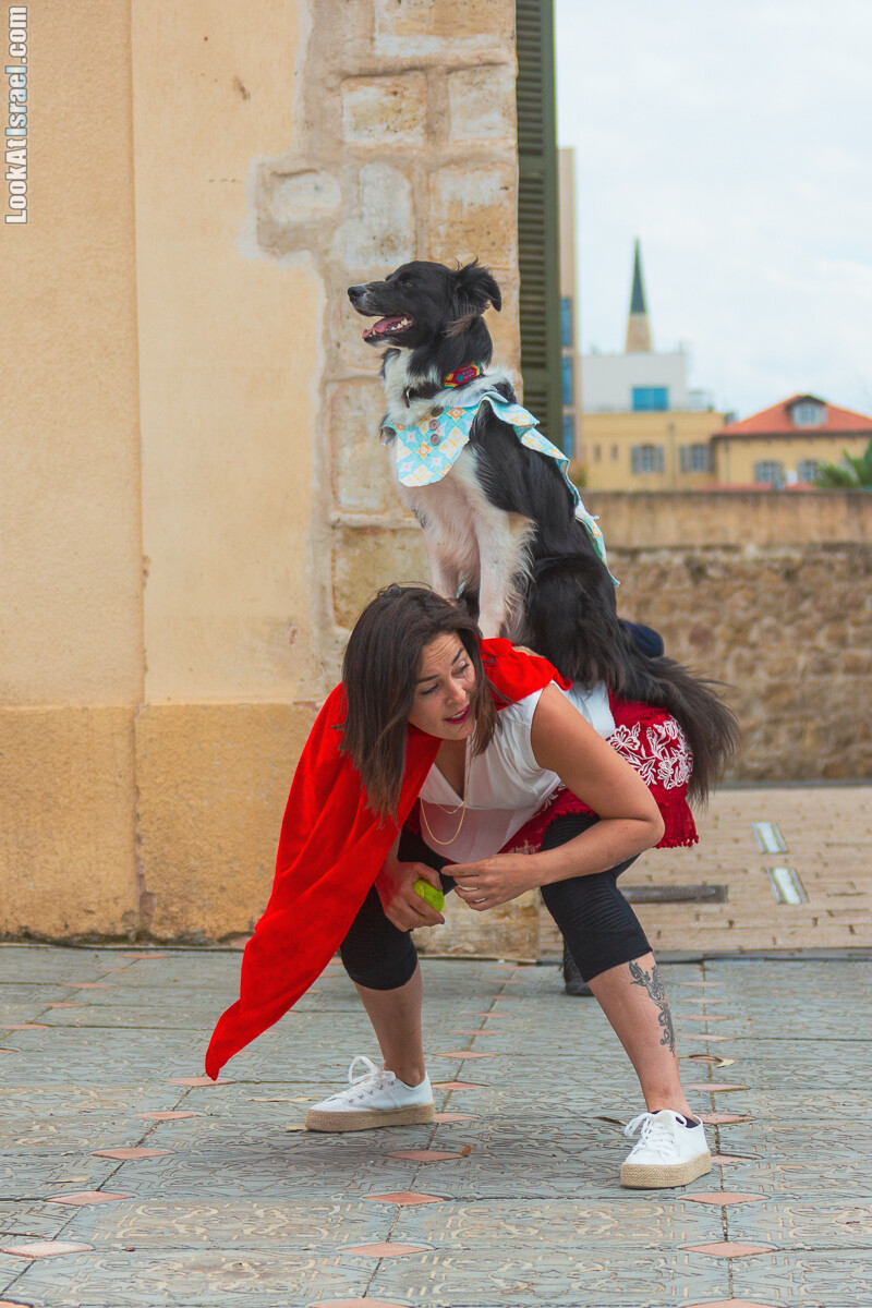 Костюмированный Пурим для собак, Тель-Авив | Dog's Purim in Tel-Aviv | אירוע פורים בתחנה- שישי כלבבי | LookAtIsrael.com - Фото путешествия по Израилю