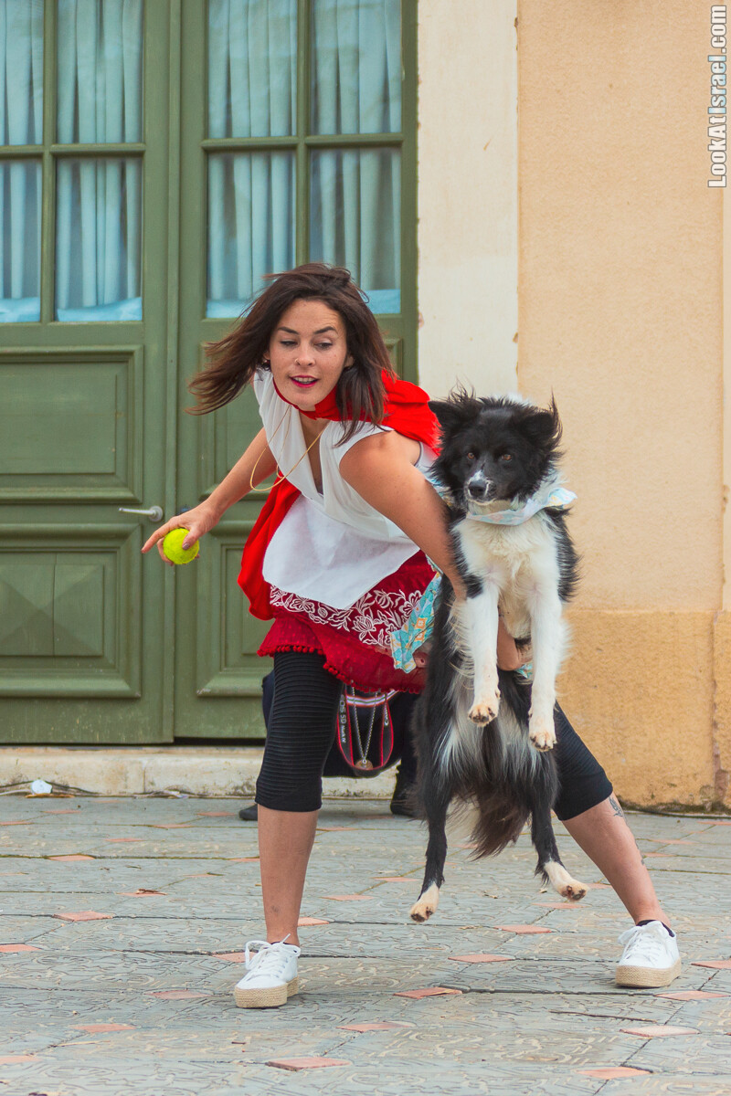Костюмированный Пурим для собак, Тель-Авив | Dog's Purim in Tel-Aviv | אירוע פורים בתחנה- שישי כלבבי | LookAtIsrael.com - Фото путешествия по Израилю