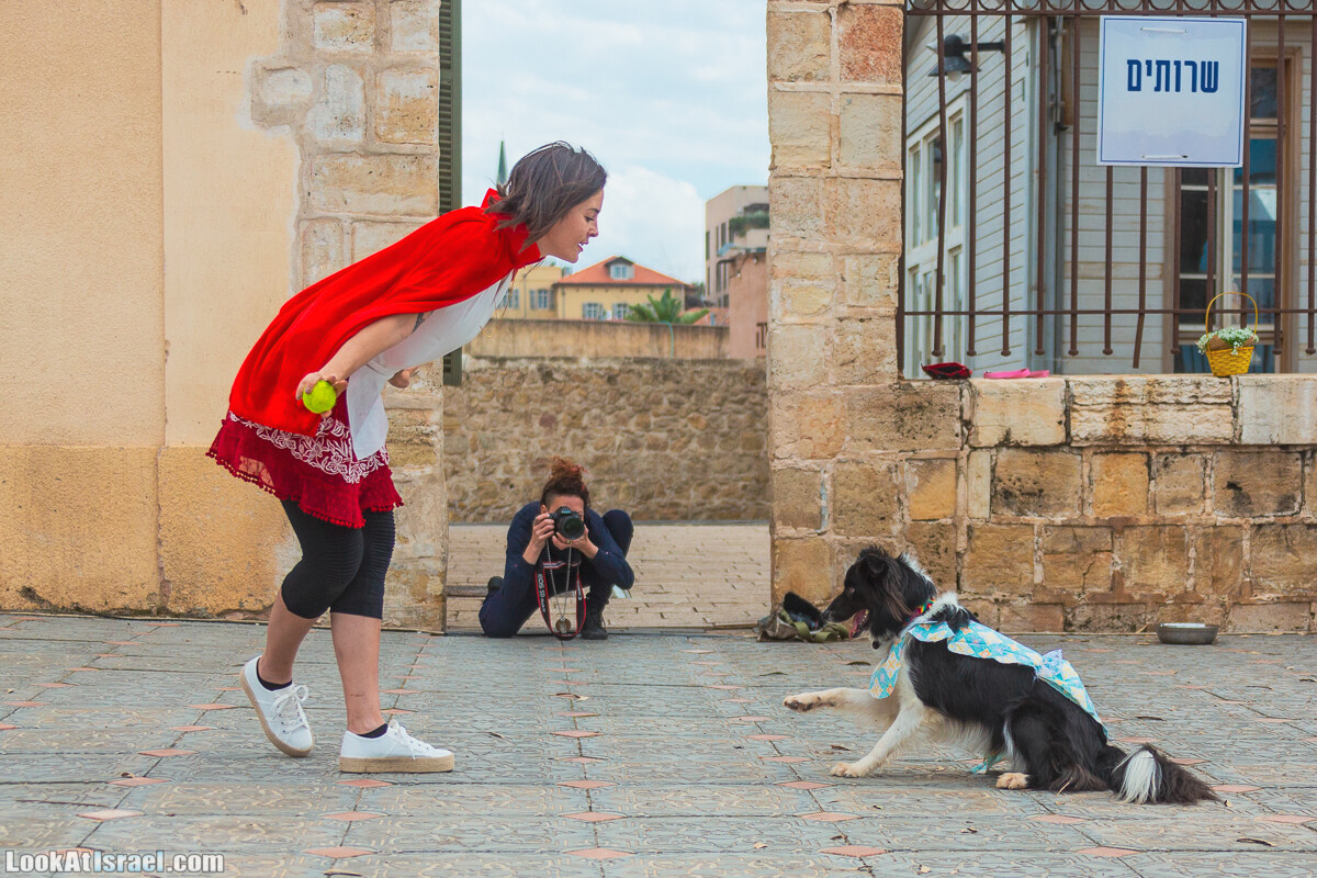 Костюмированный Пурим для собак, Тель-Авив | Dog's Purim in Tel-Aviv | אירוע פורים בתחנה- שישי כלבבי | LookAtIsrael.com - Фото путешествия по Израилю