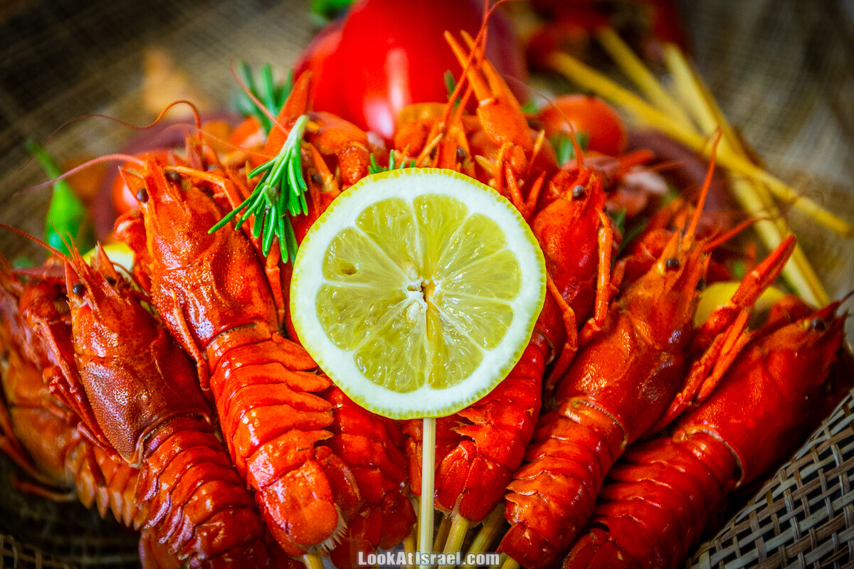 Букет с пивом и раками, BeerTime | LookAtIsrael.com - Фото путешествия по Израилю