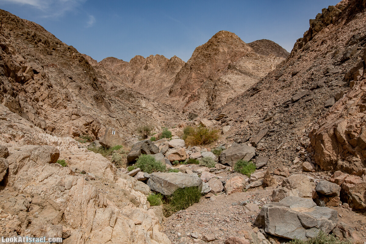 Цфахот | Mount Tsfahot | הר צפחות | LookAtIsrael.com - Фото путешествия по Израилю