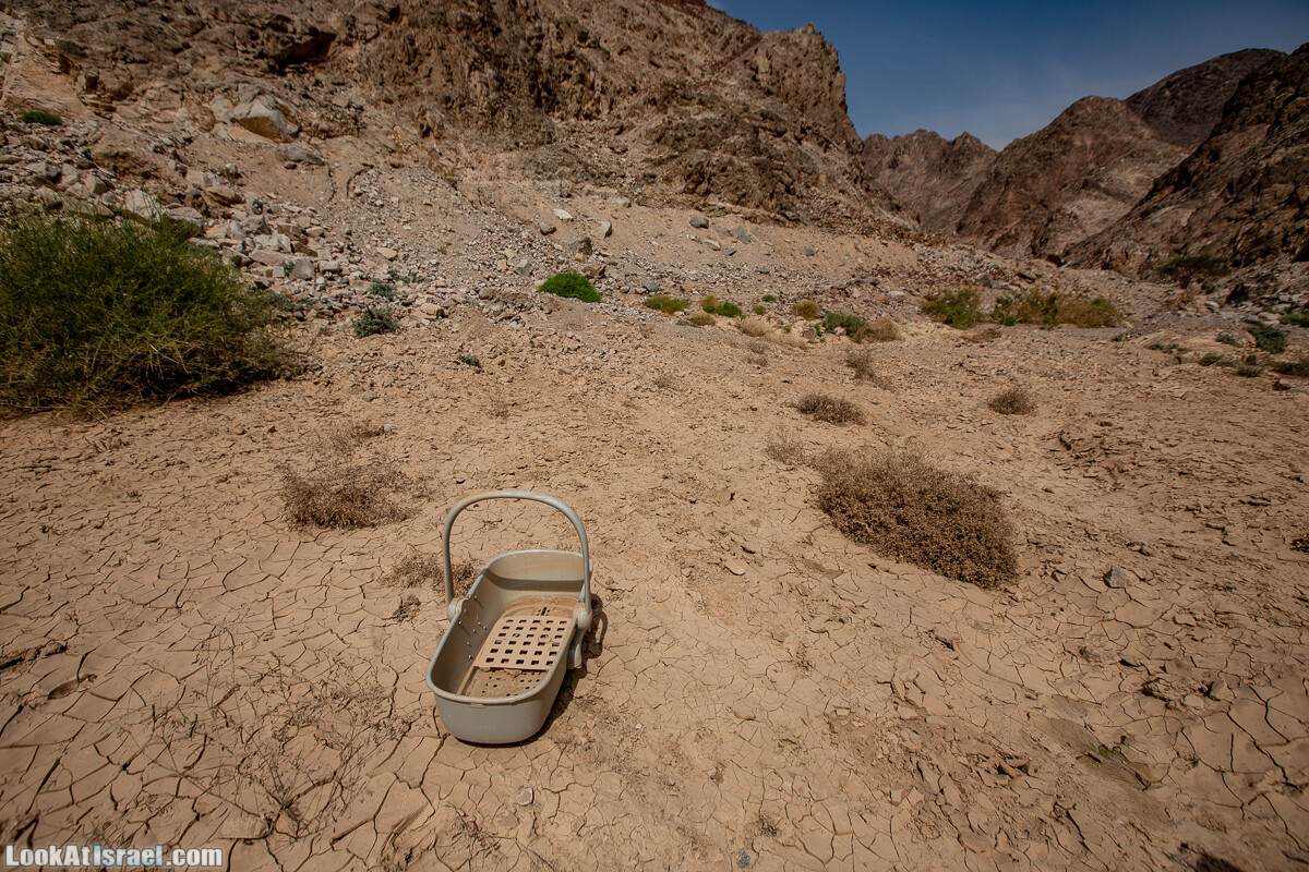 Цфахот | Mount Tsfahot | הר צפחות | LookAtIsrael.com - Фото путешествия по Израилю