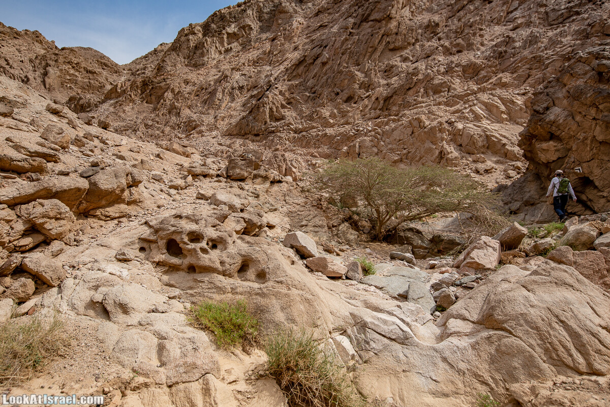 Цфахот | Mount Tsfahot | הר צפחות | LookAtIsrael.com - Фото путешествия по Израилю