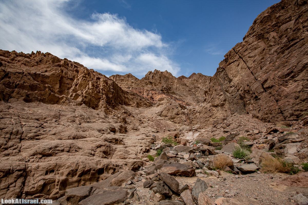 Цфахот | Mount Tsfahot | הר צפחות | LookAtIsrael.com - Фото путешествия по Израилю