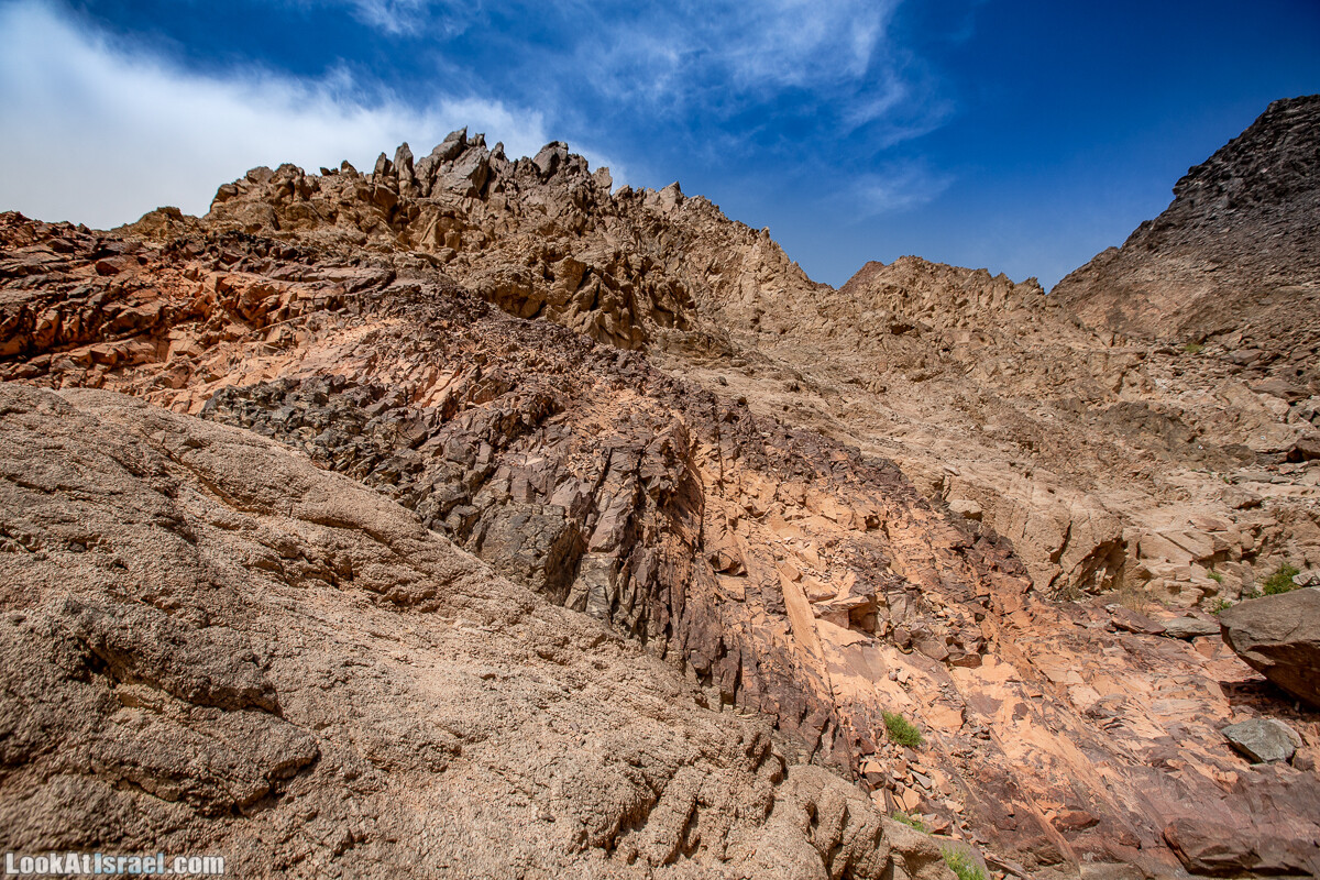Цфахот | Mount Tsfahot | הר צפחות | LookAtIsrael.com - Фото путешествия по Израилю