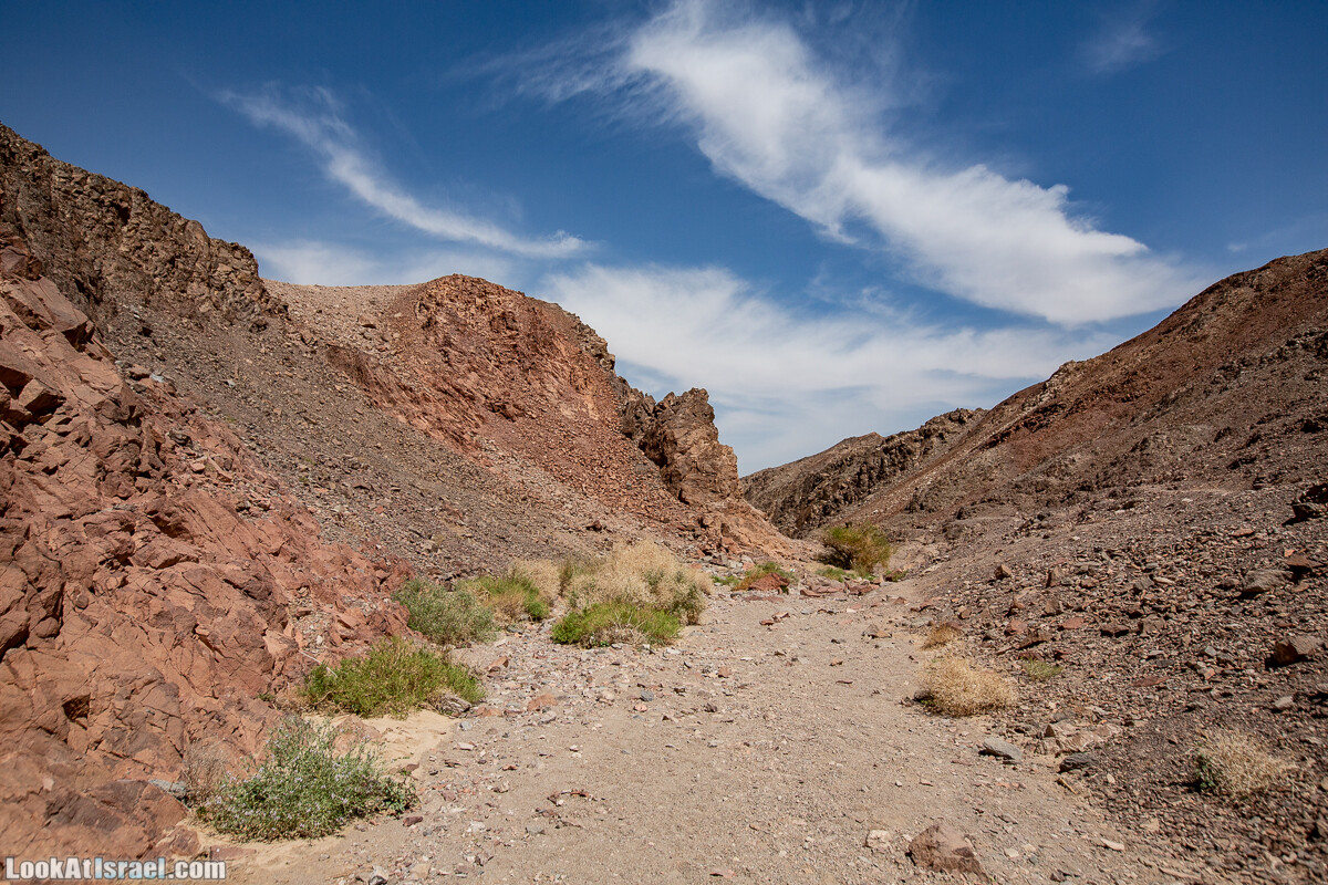Цфахот | Mount Tsfahot | הר צפחות | LookAtIsrael.com - Фото путешествия по Израилю