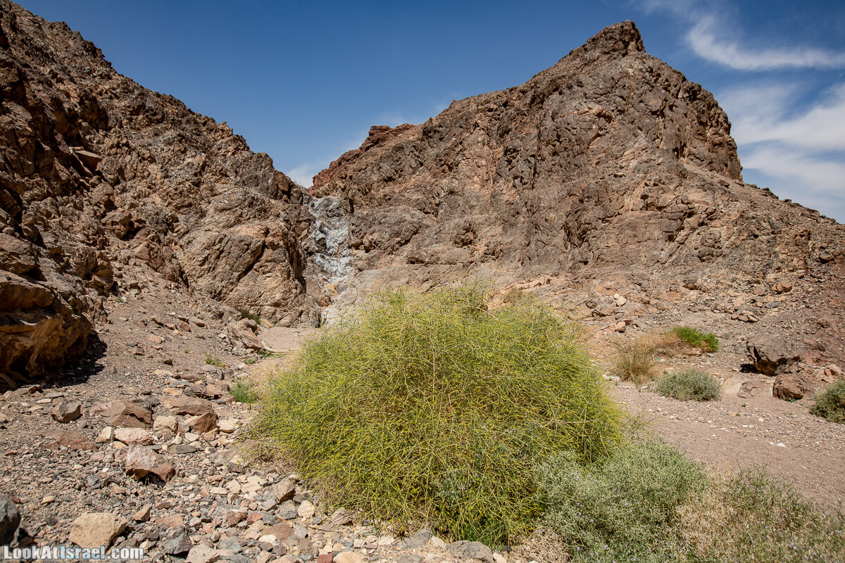 Цфахот | Mount Tsfahot | הר צפחות | LookAtIsrael.com - Фото путешествия по Израилю