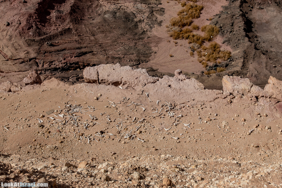 Интересные места в районе Эйлата - Дюна Элипаз, Исчезающее (скрытое) озеро, обзорная площадка Эврона, шахта, русла Соломона (Шломо) и Гишрон, вид на Синай | LookAtIsrael.com - Фото путешествия по Израилю