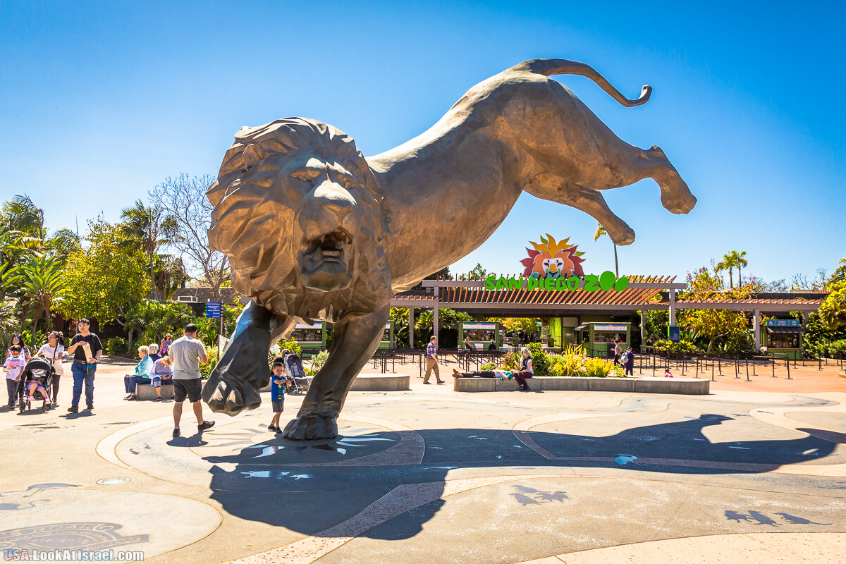 Зоопарк Сан Диего