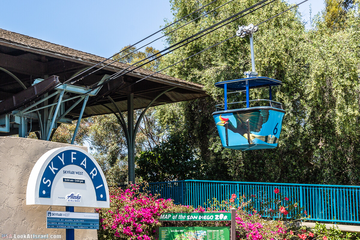 Зоопарк Сан Диего | LookAtIsrael.com - Фото путешествия по Израилю