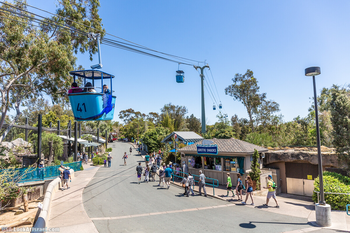 Зоопарк Сан Диего | LookAtIsrael.com - Фото путешествия по Израилю