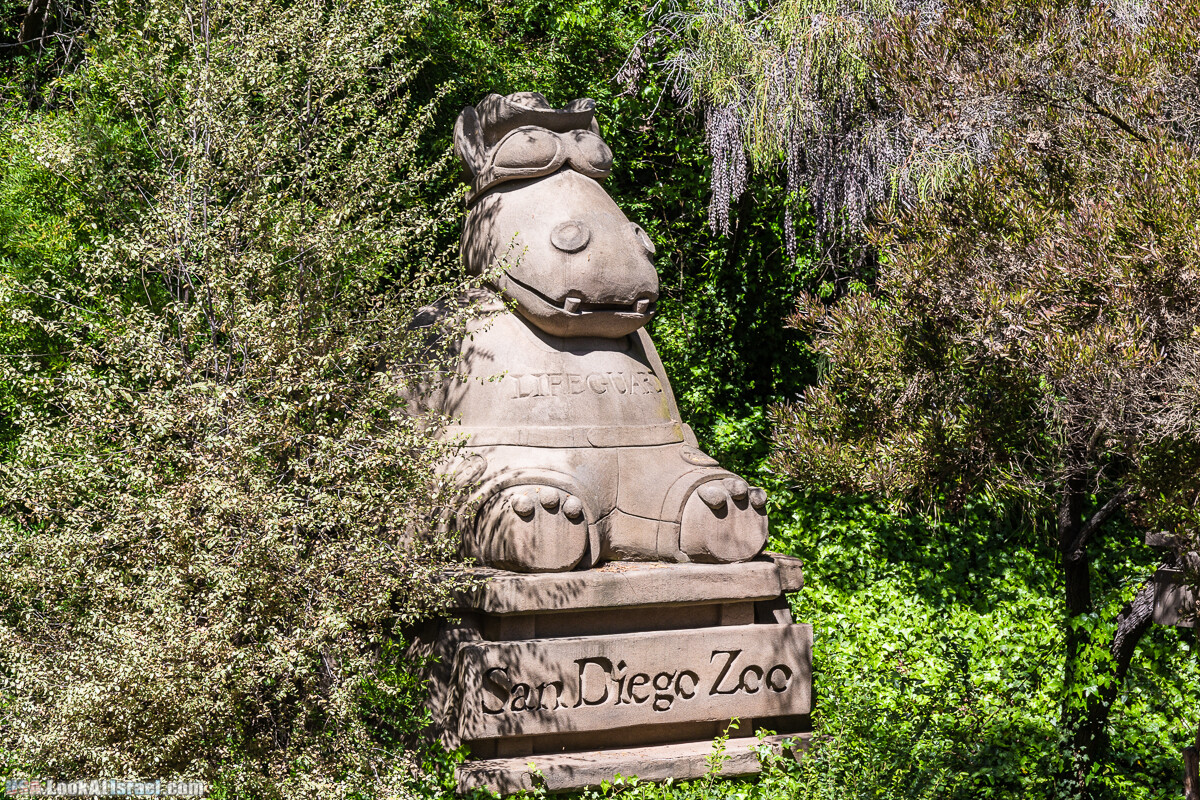 Зоопарк Сан Диего | LookAtIsrael.com - Фото путешествия по Израилю