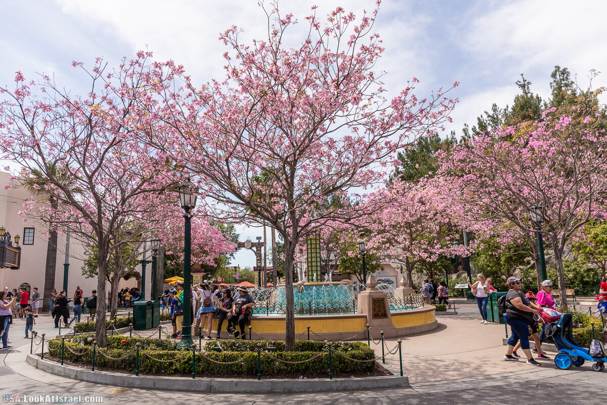 Парк развлечений California Adventures | LookAtIsrael.com - Фото путешествия по Израилю
