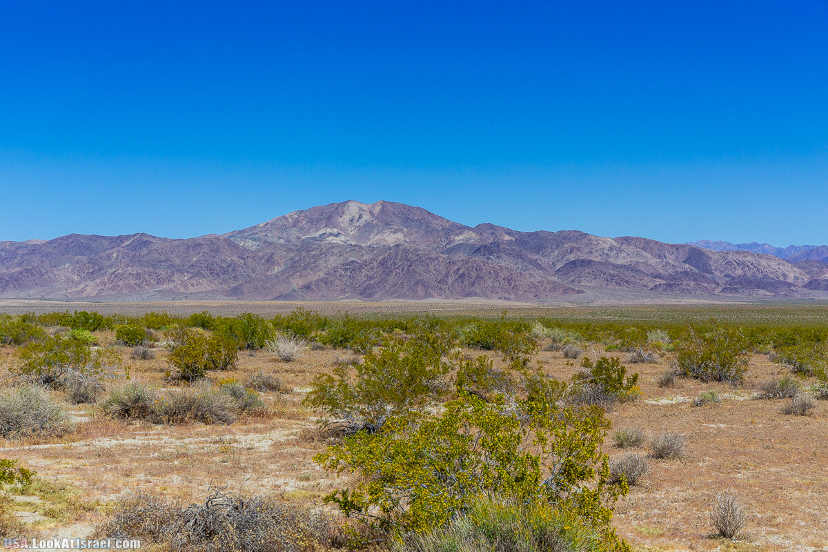 Национальный парк Джошуа Три | Joshua tree National Park | LookAtIsrael.com - Фото путешествия по Израилю