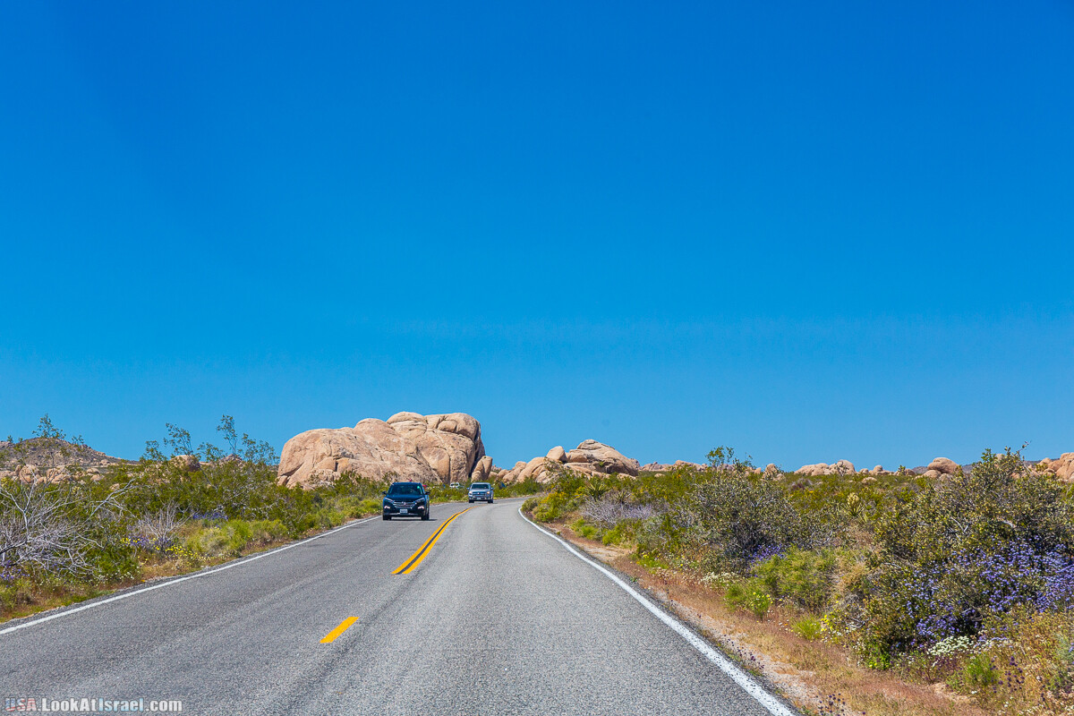 Национальный парк Джошуа Три | Joshua tree National Park | LookAtIsrael.com - Фото путешествия по Израилю