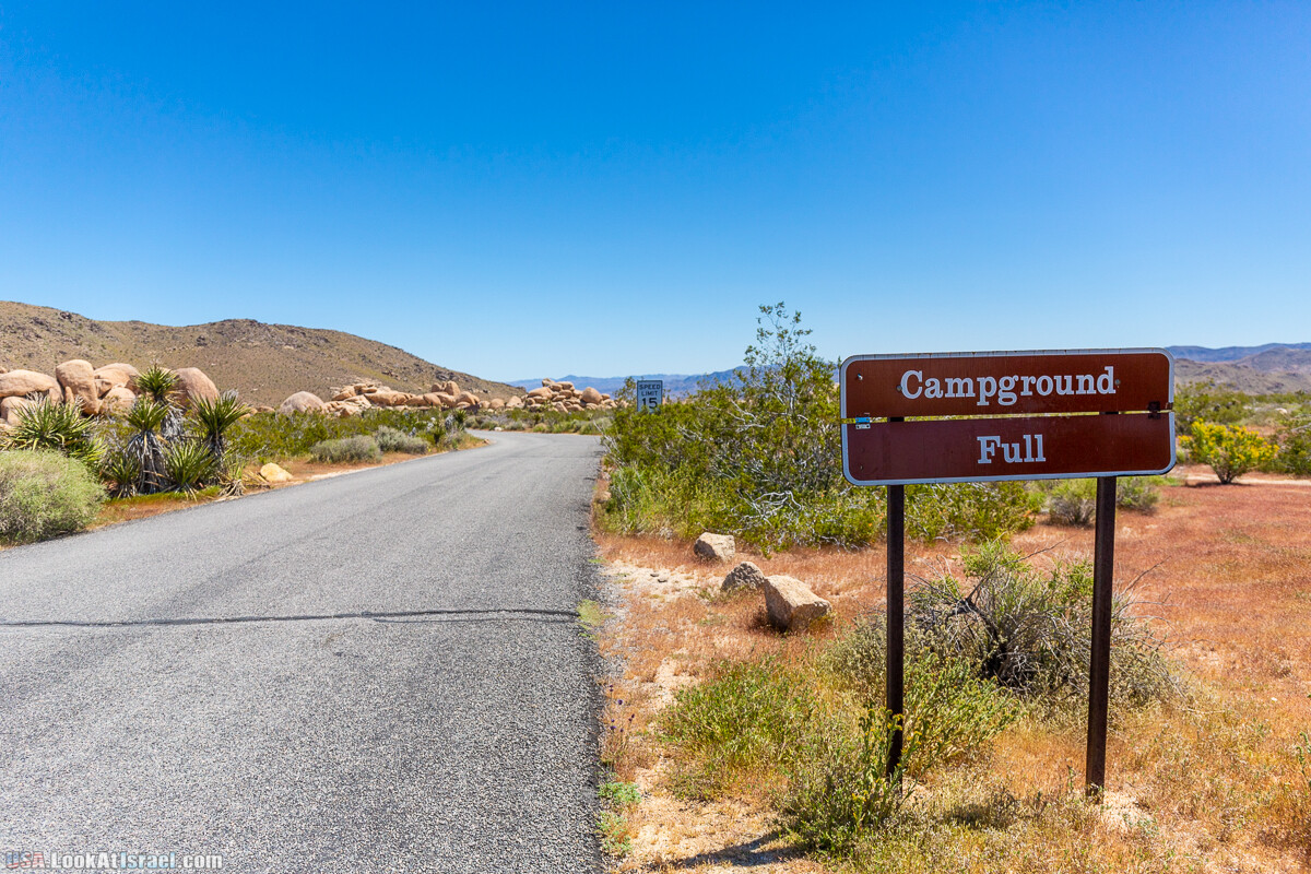 Национальный парк Джошуа Три | Joshua tree National Park | LookAtIsrael.com - Фото путешествия по Израилю