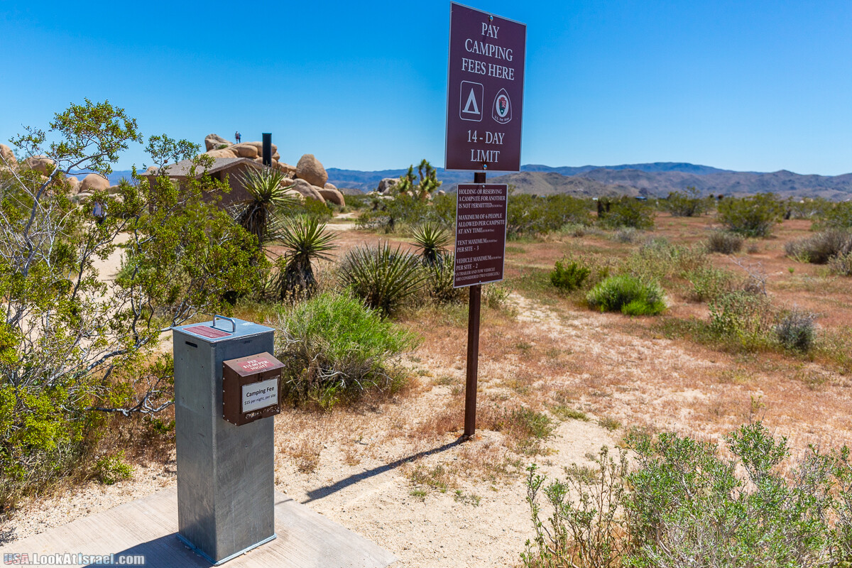 Национальный парк Джошуа Три | Joshua tree National Park | LookAtIsrael.com - Фото путешествия по Израилю