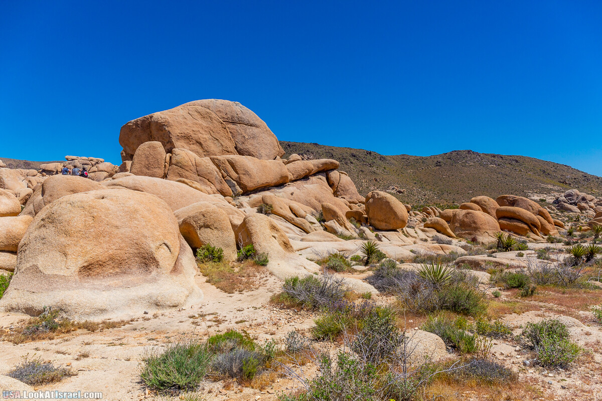 Национальный парк Джошуа Три | Joshua tree National Park | LookAtIsrael.com - Фото путешествия по Израилю