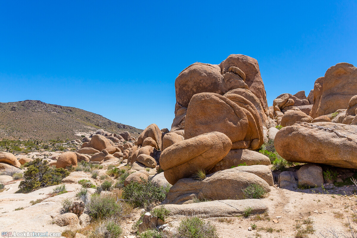 Национальный парк Джошуа Три | Joshua tree National Park | LookAtIsrael.com - Фото путешествия по Израилю
