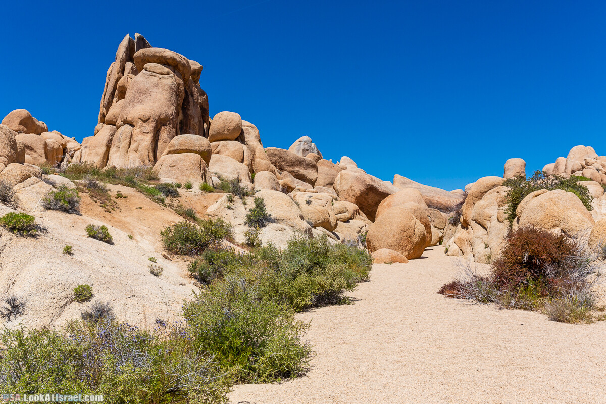 Национальный парк Джошуа Три | Joshua tree National Park | LookAtIsrael.com - Фото путешествия по Израилю