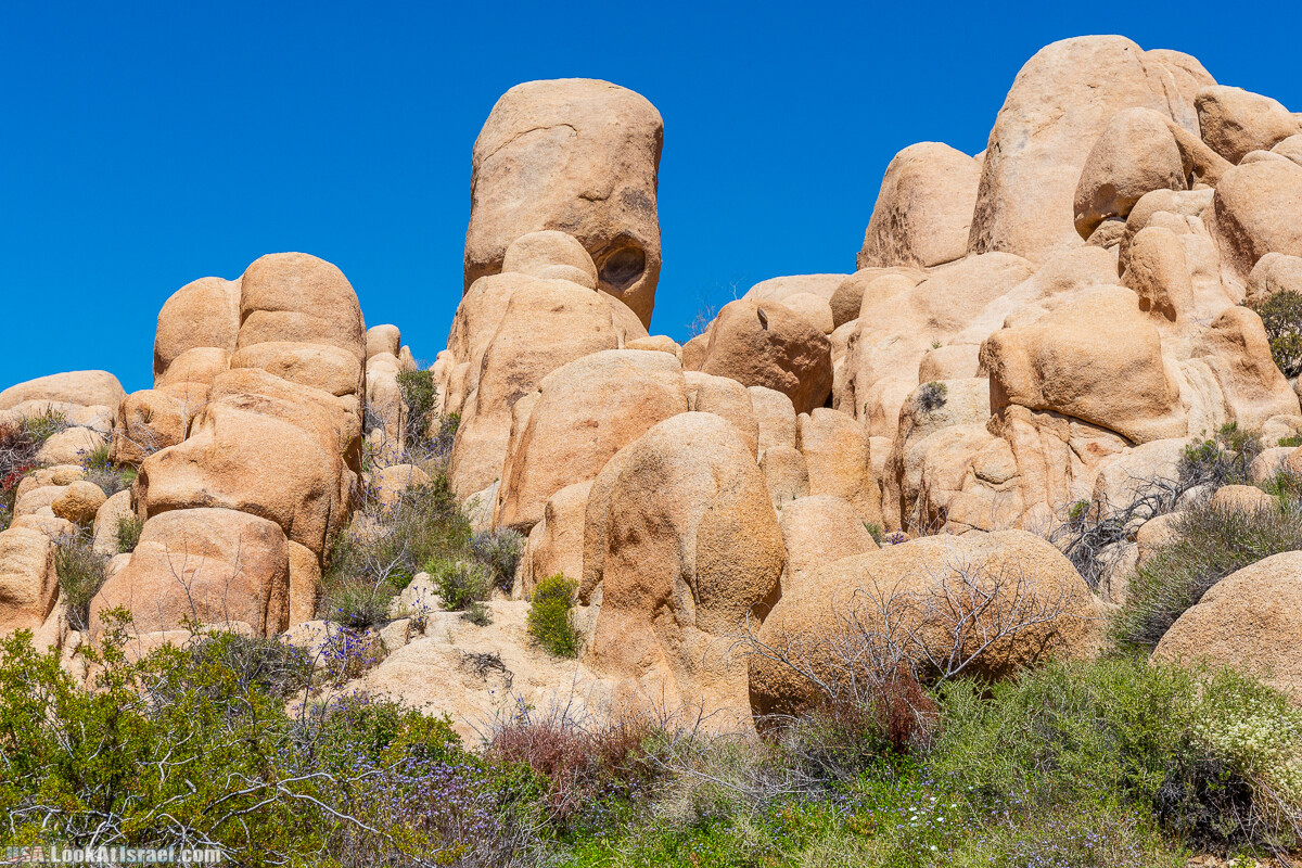 Национальный парк Джошуа Три | Joshua tree National Park | LookAtIsrael.com - Фото путешествия по Израилю