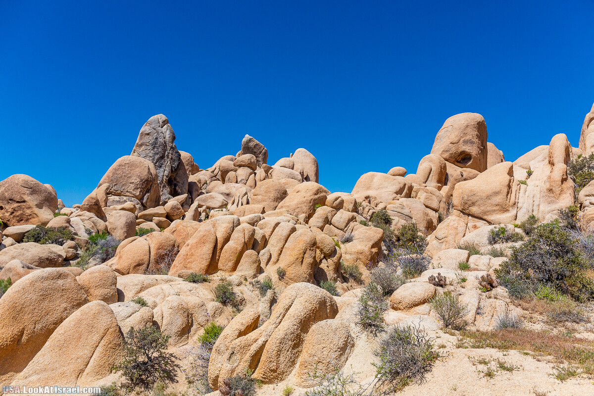 Национальный парк Джошуа Три | Joshua tree National Park | LookAtIsrael.com - Фото путешествия по Израилю