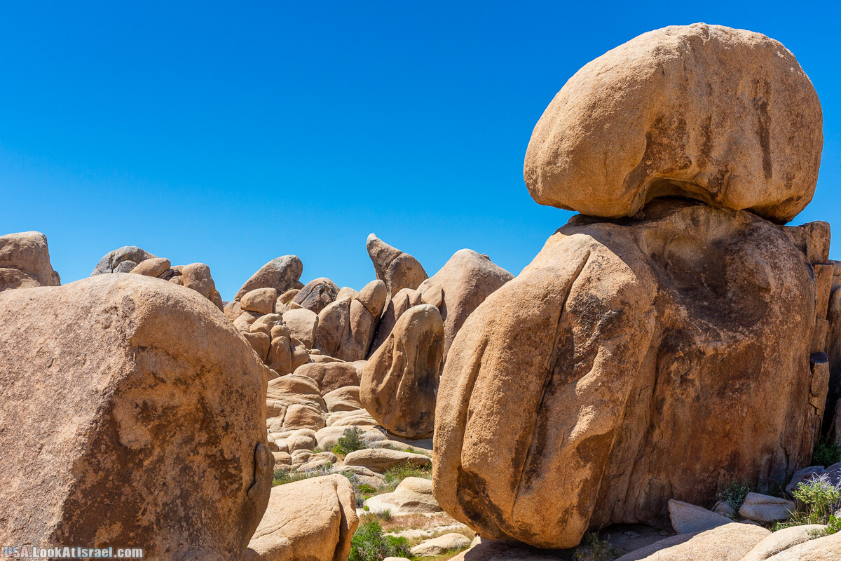 Национальный парк Джошуа Три | Joshua tree National Park | LookAtIsrael.com - Фото путешествия по Израилю