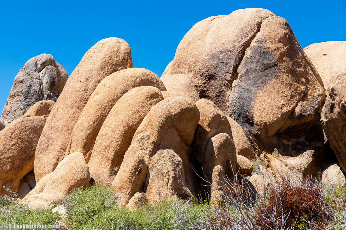 Национальный парк Джошуа Три | Joshua tree National Park | LookAtIsrael.com - Фото путешествия по Израилю