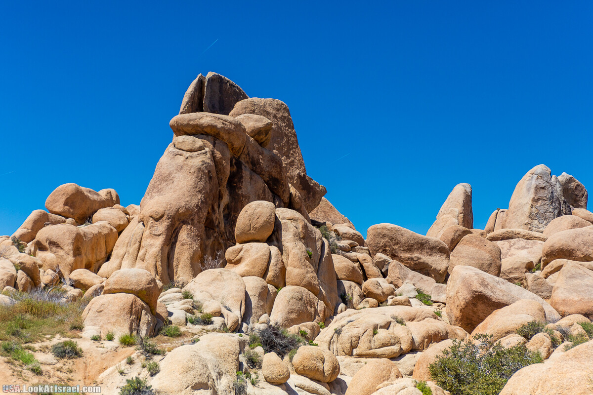 Национальный парк Джошуа Три | Joshua tree National Park | LookAtIsrael.com - Фото путешествия по Израилю