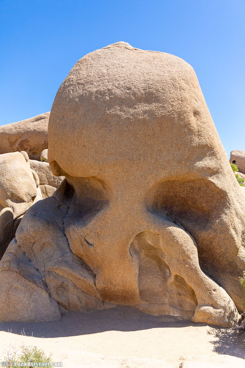 Национальный парк Джошуа Три | Joshua tree National Park | LookAtIsrael.com - Фото путешествия по Израилю