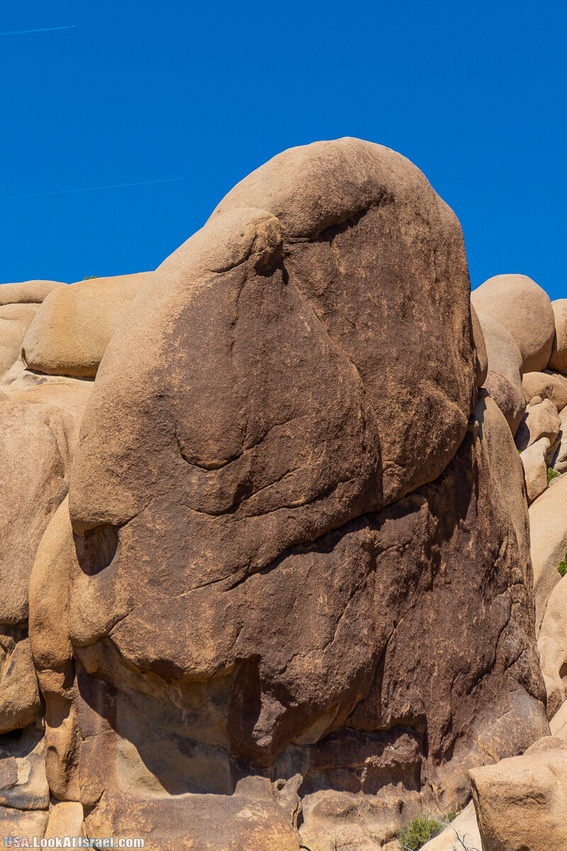 Национальный парк Джошуа Три | Joshua tree National Park | LookAtIsrael.com - Фото путешествия по Израилю