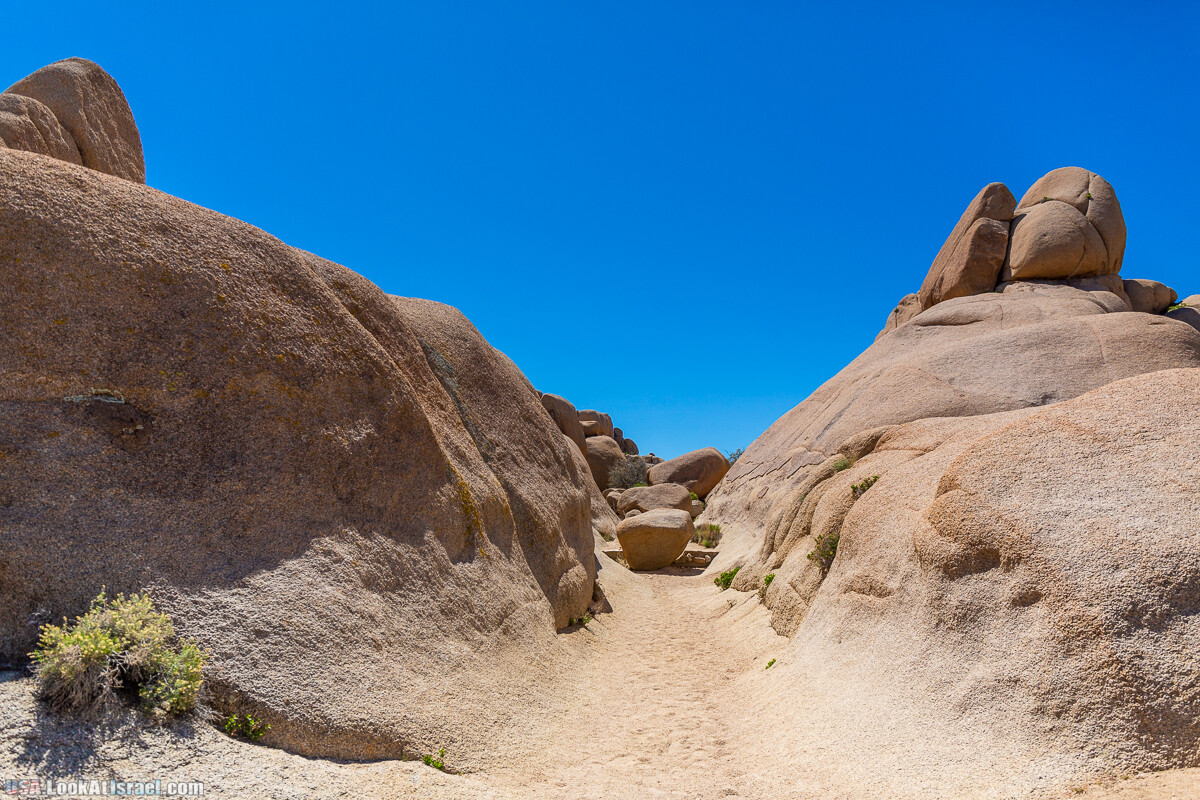 Национальный парк Джошуа Три | Joshua tree National Park | LookAtIsrael.com - Фото путешествия по Израилю