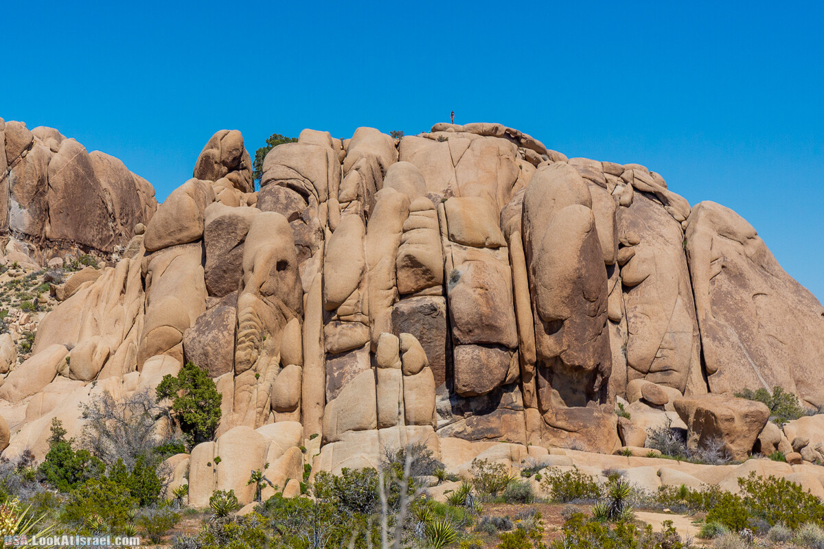 Национальный парк Джошуа Три | Joshua tree National Park | LookAtIsrael.com - Фото путешествия по Израилю