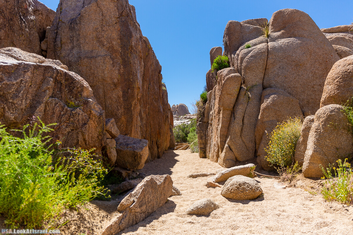 Национальный парк Джошуа Три | Joshua tree National Park | LookAtIsrael.com - Фото путешествия по Израилю