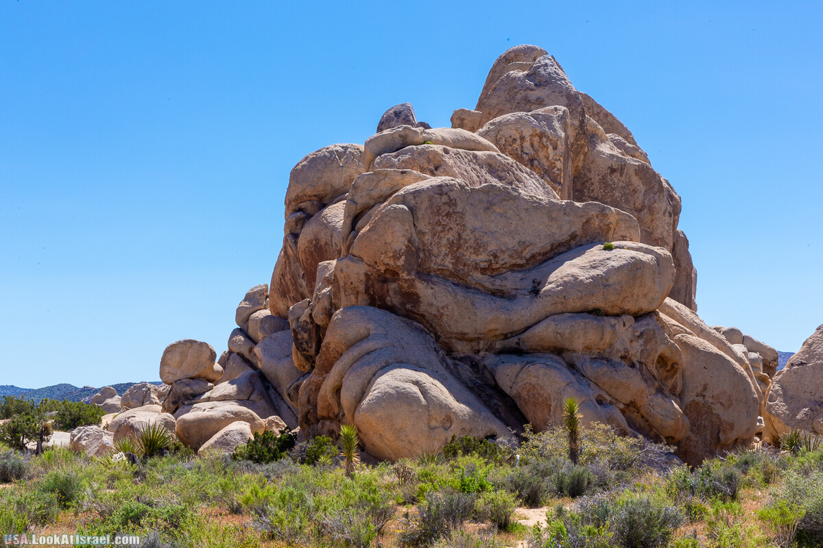 Национальный парк Джошуа Три | Joshua tree National Park | LookAtIsrael.com - Фото путешествия по Израилю