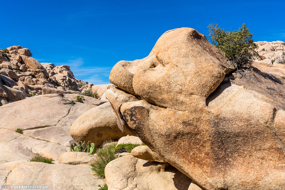 Национальный парк Джошуа Три | Joshua tree National Park | LookAtIsrael.com - Фото путешествия по Израилю