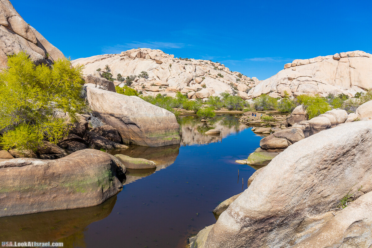 Национальный парк Джошуа Три | Joshua tree National Park | LookAtIsrael.com - Фото путешествия по Израилю