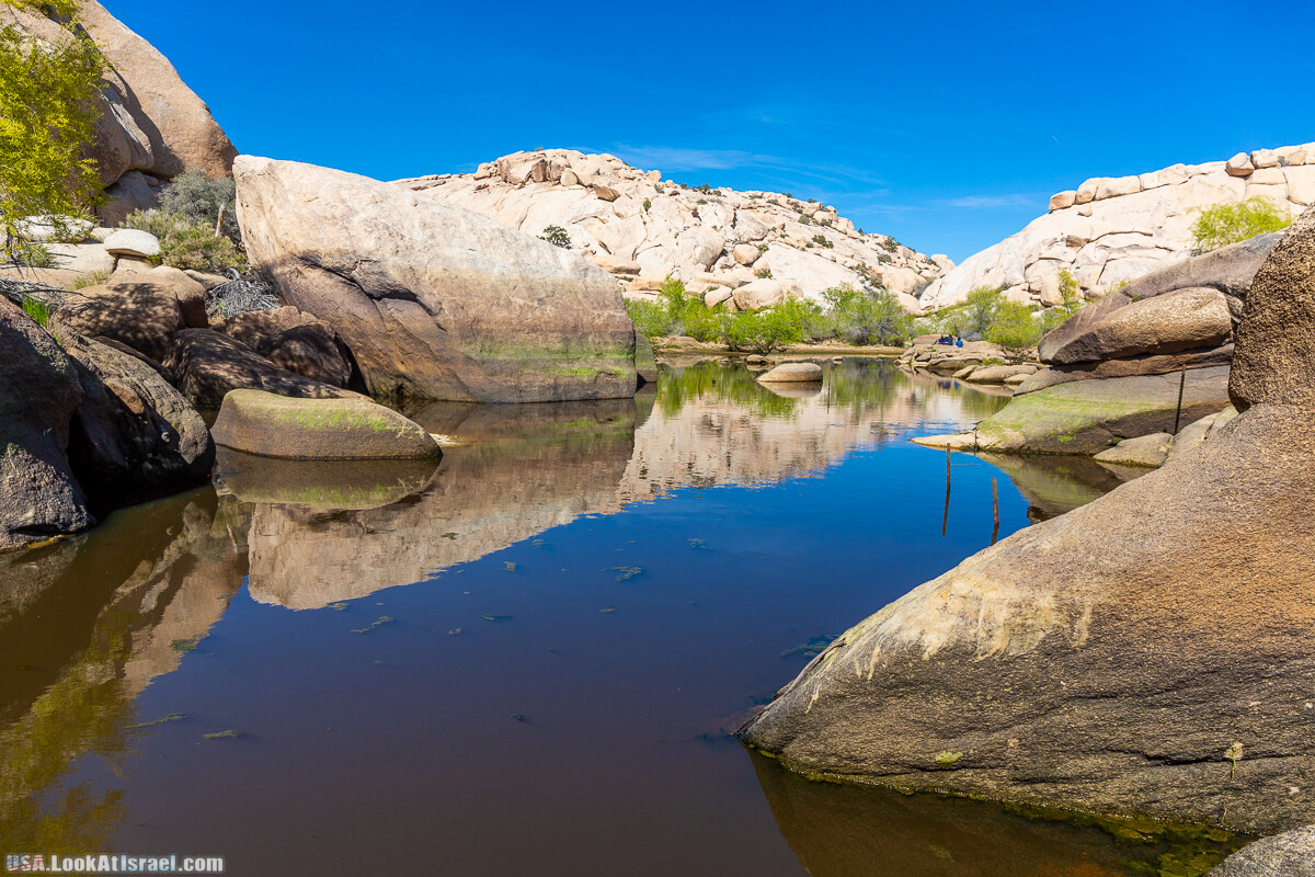 Национальный парк Джошуа Три | Joshua tree National Park | LookAtIsrael.com - Фото путешествия по Израилю