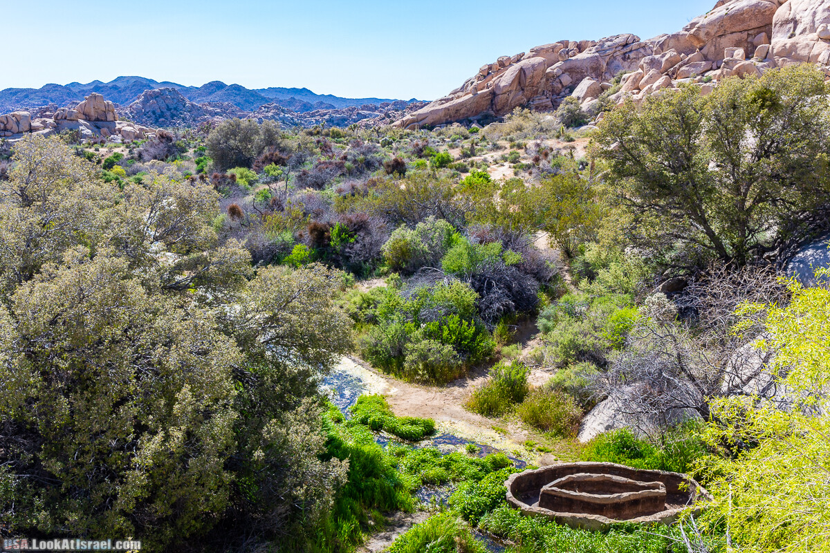 Национальный парк Джошуа Три | Joshua tree National Park | LookAtIsrael.com - Фото путешествия по Израилю