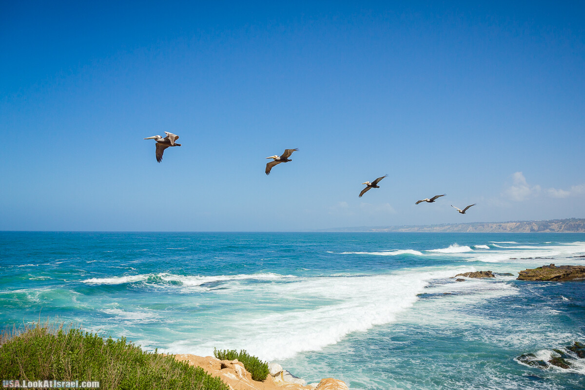 Сан Диего | LookAtIsrael.com - Фото путешествия по Израилю