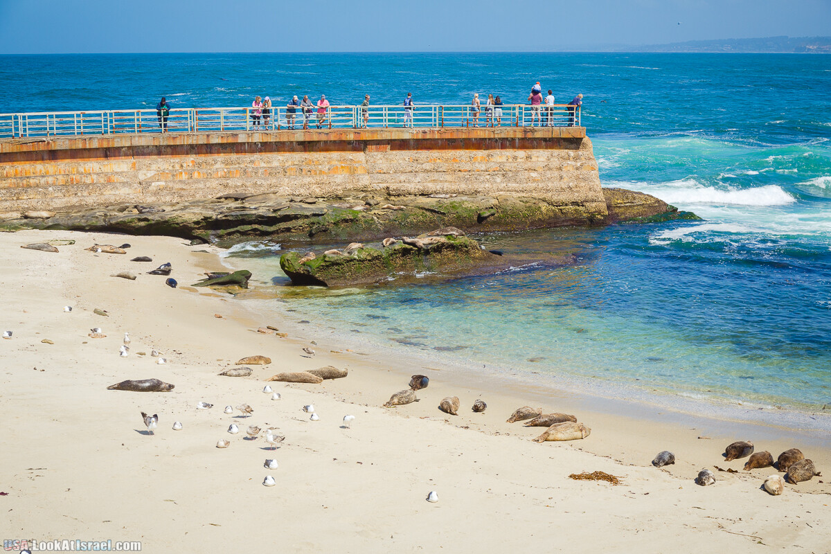 Сан Диего | LookAtIsrael.com - Фото путешествия по Израилю