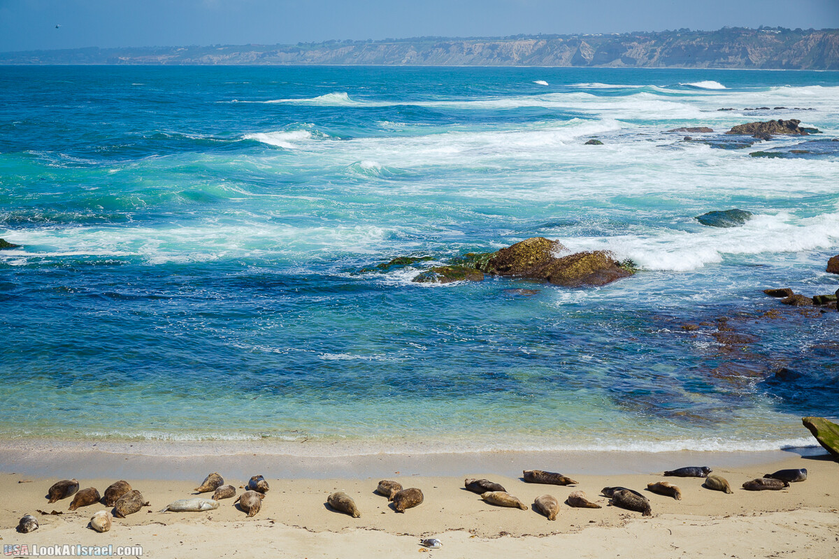 Сан Диего | LookAtIsrael.com - Фото путешествия по Израилю