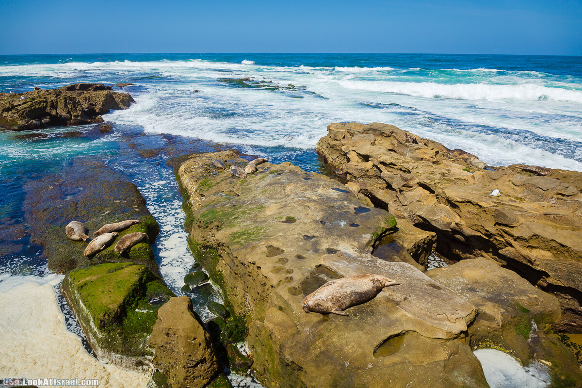 Сан Диего | LookAtIsrael.com - Фото путешествия по Израилю