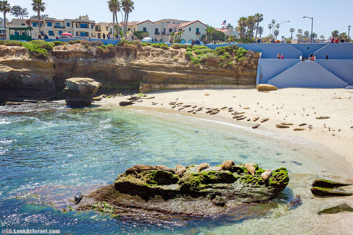 Сан Диего | LookAtIsrael.com - Фото путешествия по Израилю