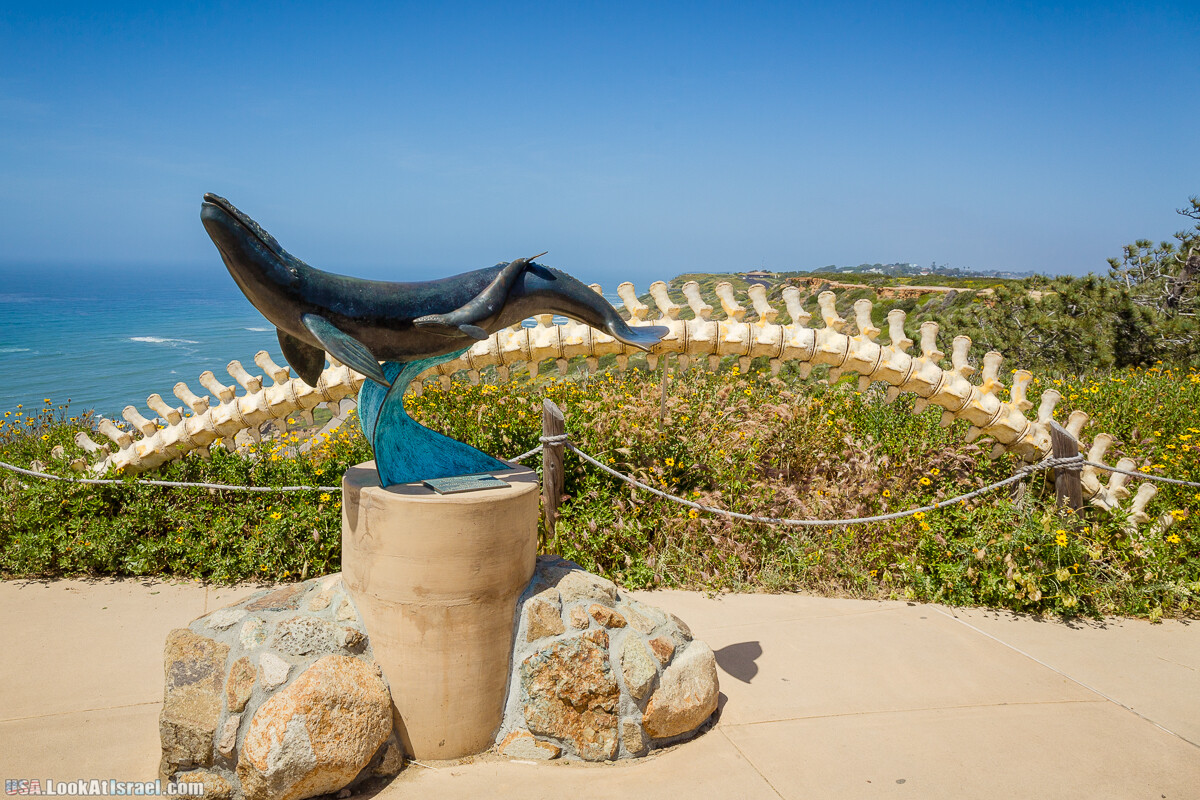 Сан Диего | LookAtIsrael.com - Фото путешествия по Израилю